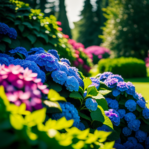 An image depicting a lush, shaded garden with a variety of vibrant hydrangeas