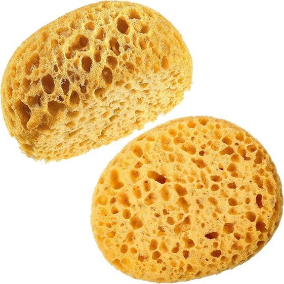 Patelai Knockdown Texture Sponge for Drywall Repair (2-Pack)