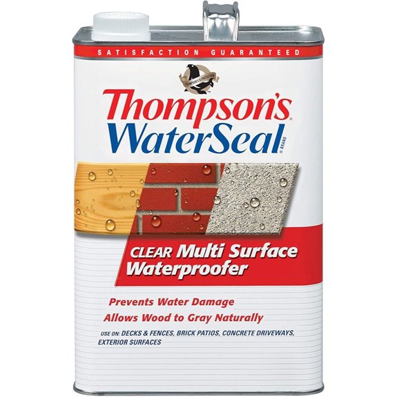 Thompson’s WaterSeal Multi-Surface Waterproofer Stain Clear 1 Gallon